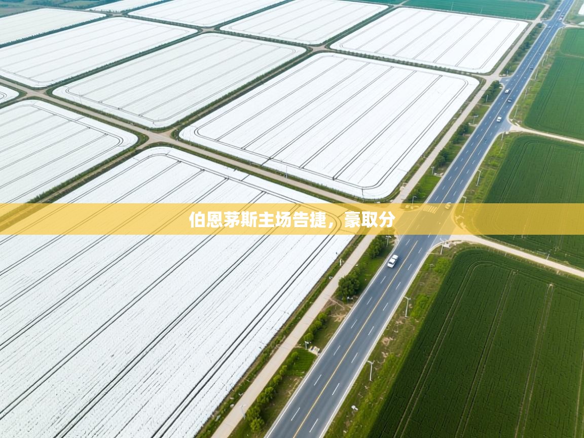 伯恩茅斯主场告捷,豪取分 第2张