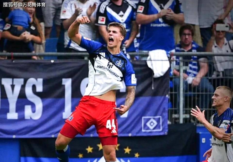汉堡客场战胜了霍芬海姆的比赛